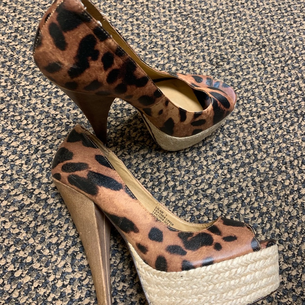 Ziginy Shoes - image 2